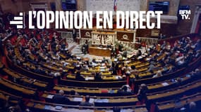 Une majorité des Français sont opposés à l'utilisation de l'article 49.3 de la Constitution pour le budget