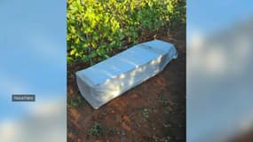 Un cercueil a été découvert dans des vignes de Cannet-des-Maures.