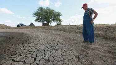 La sécheresse dans le Midwest américain fait flamber les prix des céréales.