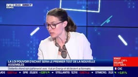 Les Experts : La loi "pouvoir d'achat" sera le premier test de la nouvelle Assemblée - 24/06