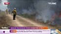 Landiras: face à la violence du feu, les pompiers obligés d'essayer "toutes les techniques"