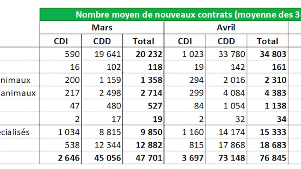 Les agriculteurs recherchent 200.000 emplois saisonniers entre les mois de mars et mai Les agriculteurs recherchent 200.000 emplois saisonniers entre les mois de mars et mai