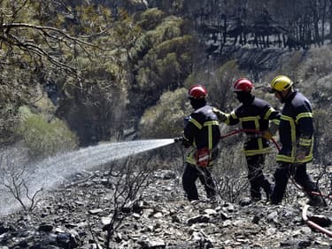 Des pompiers en train d'éteindre un incendie dans les Pyrénées-Orientales en 2023.