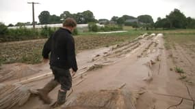 Intempéries: les agriculteurs en souffrance