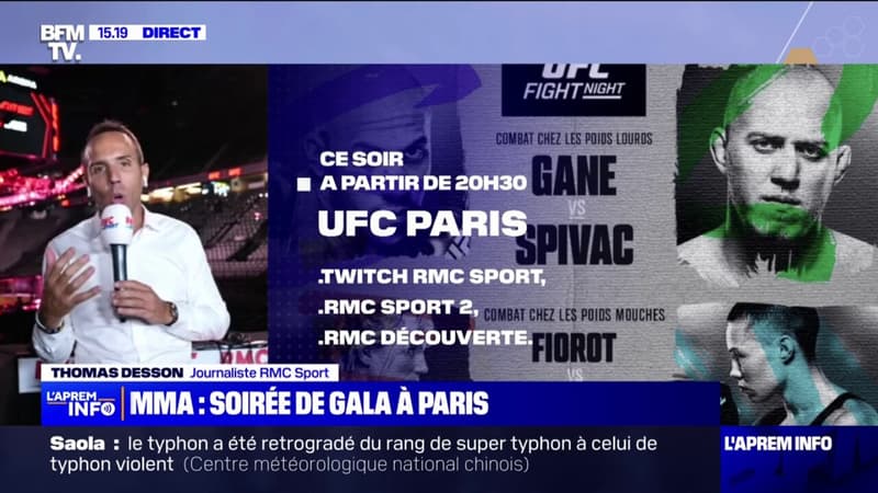 MMA: le Français Ciryl Gane affrontera le Moldave Serghei Spivak ce samedi soir à Paris