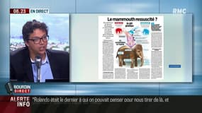 On va ressusciter un mammouth!