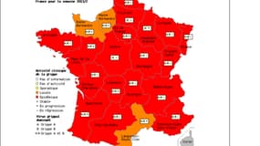 Situation de la grippe en France pour la deuxième semaine de 2013.
