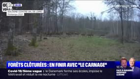 Chasse: une proposition de loi déposée pour lutter contre "l’engrillagement des forêts"