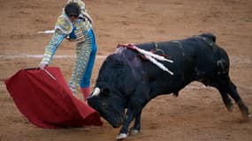 Le torero français Sebastian Castella se produit lors d'une corrida au Monumental Plaza de Toros Mexico à Mexico City le 4 février 2024. 