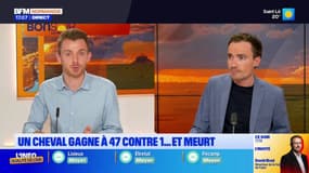 Vire: un cheval gagne une course à 47 contre 1 et meurt 