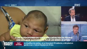 Alerte au virus Zika en France: "C'est la premiere fois que le virus entre en Europe"
