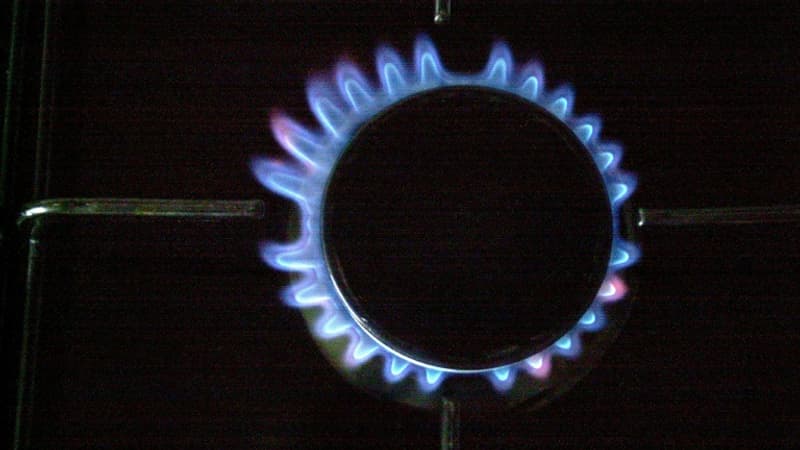 Le prix du gaz serait deux fois plus élevé sans bouclier tarifaire selon le régulateur