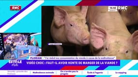 Maltraitance animale: certains font le choix de réduire leur consommation de viande