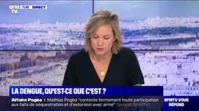 BFMTV répond à vos questions : Il lègue son entreprise pour la planète ! - 15/09 