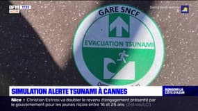 Une alerte fictive au tsunami organisée ce vendredi matin à Cannes