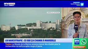Loi narcotrafic : qu'est-ce que cela change à Marseille ? 
