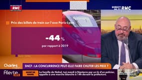 Baisse significative du prix des billets de train sur l'axe Paris-Lyon