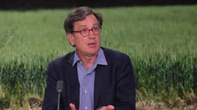 Me Didier Seban, avocat des familles de victimes d'Émile Louis, le 26 mai 2025 sur BFMTV.