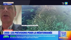 Planète Locale du mercredi 11 juin - 2050 : Les prévisions pour la Méditerranée
