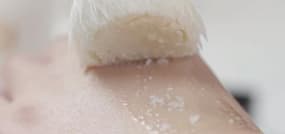 Cha Ling, l'esprit du thé