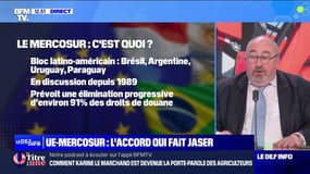 UE-Mercosur : l'accord qui fait jaser - 30/01
