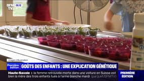 "Il y a beaucoup de choses que je n'aime pas": une étude révèle que la sélectivité alimentaire des enfants est génétique
