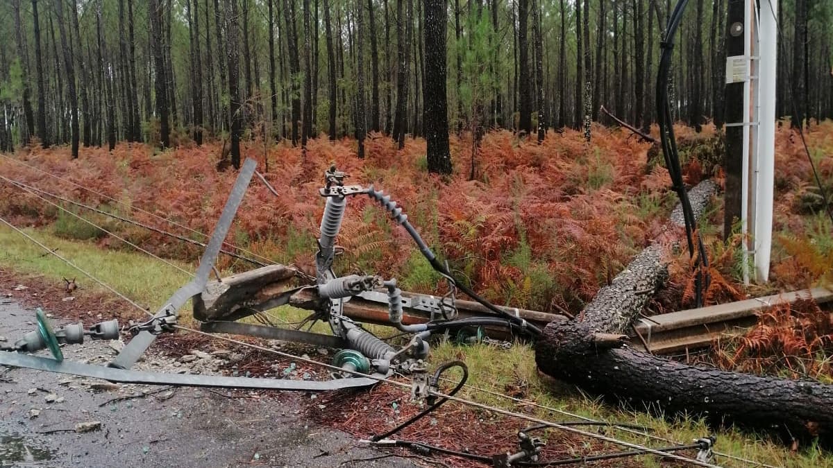Après le passage de la tempête Ciaran, les dégâts sont considérables 