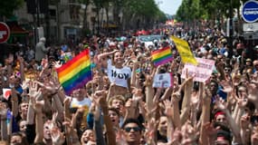 Gay pride dans les rues de Paris, le 29 juin 2013