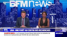 Lina : une forêt au centre des recherches - 07/08