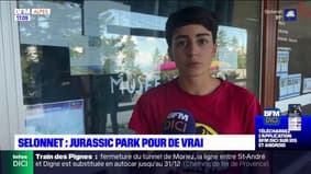 Alpes-de-Haute-Provence: Nathan, 14 ans, ouvre un musée sur les dinosaures à Chabanon