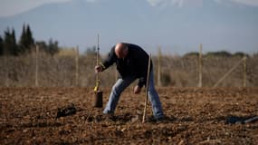 Un homme plante un pistachier dans un champ frappé par la sécheresse, le 8 février 2024. (Illustration)

