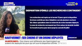Disparition d’Émile: des drones et des chiens déployés, dix-sept jours après la disparition de l'enfant