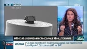 La chronique de Nina Godart : Une maison microscopique révolutionne la médecine - 07/08