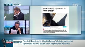 Lot-et-Garonne: elle pense découvrir un zoophile nu dans son garage... c'était l'amant de son mari