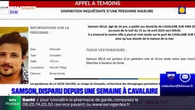 Var: un appel à témoins pour retrouver Samson, disparu depuis une semaine à Cavalaire
