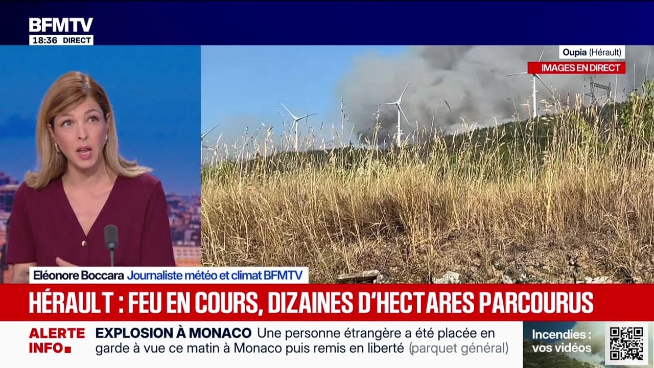 Marschall Truchot : Hérault : feu en cours, des dizaines d'hectares parcourus - 01/07