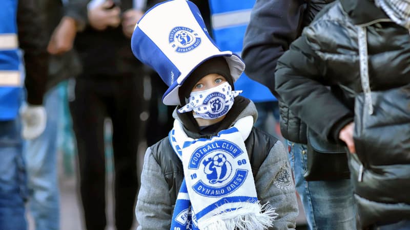 Supporter Dinamo Brest
