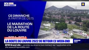 "Vous verrez des choses magnifiques": le message envoyé aux participants au marathon de la Route du Louvre