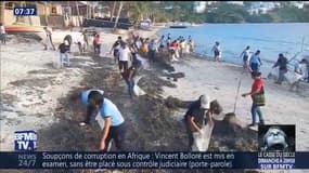 Aux Philippines, l’île paradisiaque de Boracay ferme aux touristes pour 6 mois