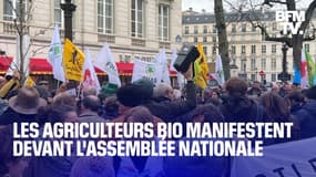Pause du plan Écophyto, aides insuffisantes: les agriculteurs bio manifestent devant l'Assemblée nationale