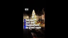 Strasbourg: les illuminations du grand sapin du marché de Noël