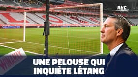 Lille 2-0 Slavia : Létang "assez inquiet" sur l'état de la pelouse du Stade Pierre Mauroy