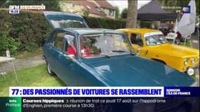 Seine-et-Marne: rassemblement de voitures anciennes