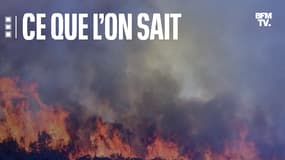 Incendie près de Gignac, le 26 juillet 2022 dans l'Hérault