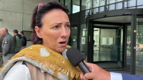 Ourse tuée lors d'une battue illicite : le chasseur condamné