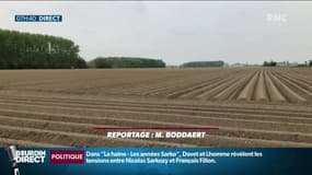 "La situation peut vite devenir inquiétante", les agriculteurs du Nord touchés par un épisode de sécheresse inédit