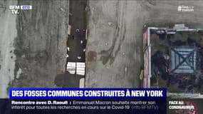 À New York, des personnes mortes du coronavirus sont enterrées dans des fosses communes