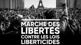 L'appel à manifester du collectif de la coordination "Stop loi Sécurité globale".
