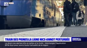 Éboulements dans la vallée de la Tinée: le trafic du train des Pignes perturbé