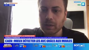 Caen: deux chercheurs découvrent une manière de mieux détecter les AVC grâce aux moules